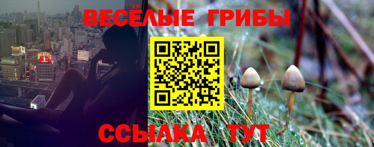Абинск  Галлюциногенные грибы GOLDEN TEACHER  Галлюциногенные грибы MAGIC MUSHROOMS  Вход с VPN 
